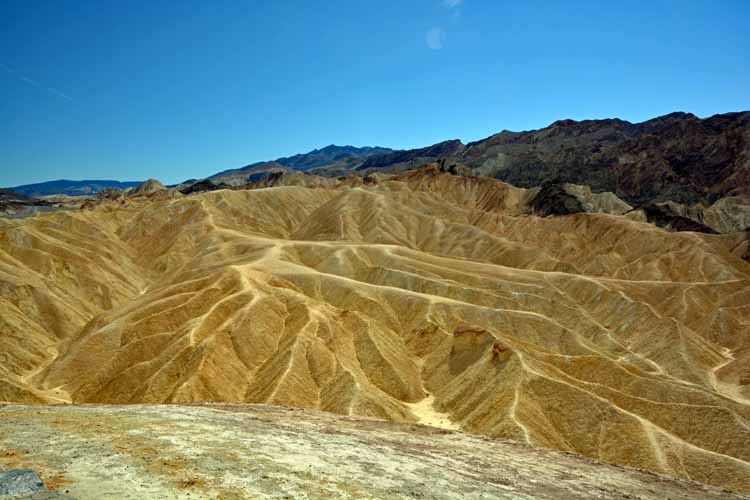 mustard-colored hills